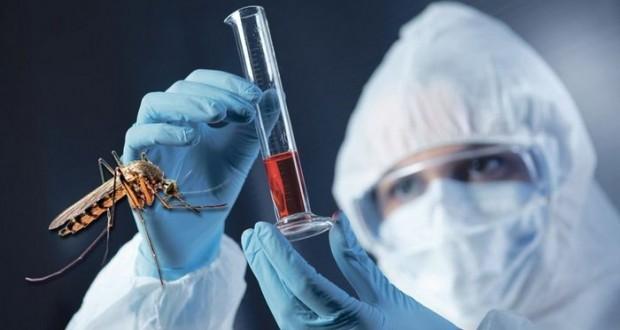 Komarci u Srbiji prenose virus Zapadnog Nila