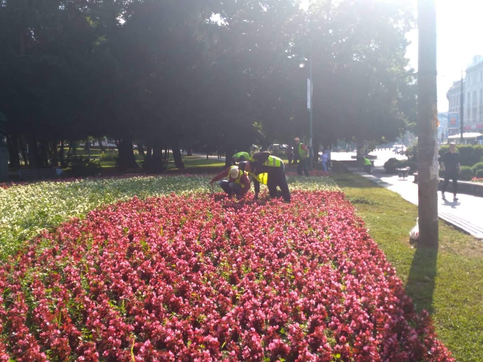 Uređivanje cvijeća u parku - Avaz