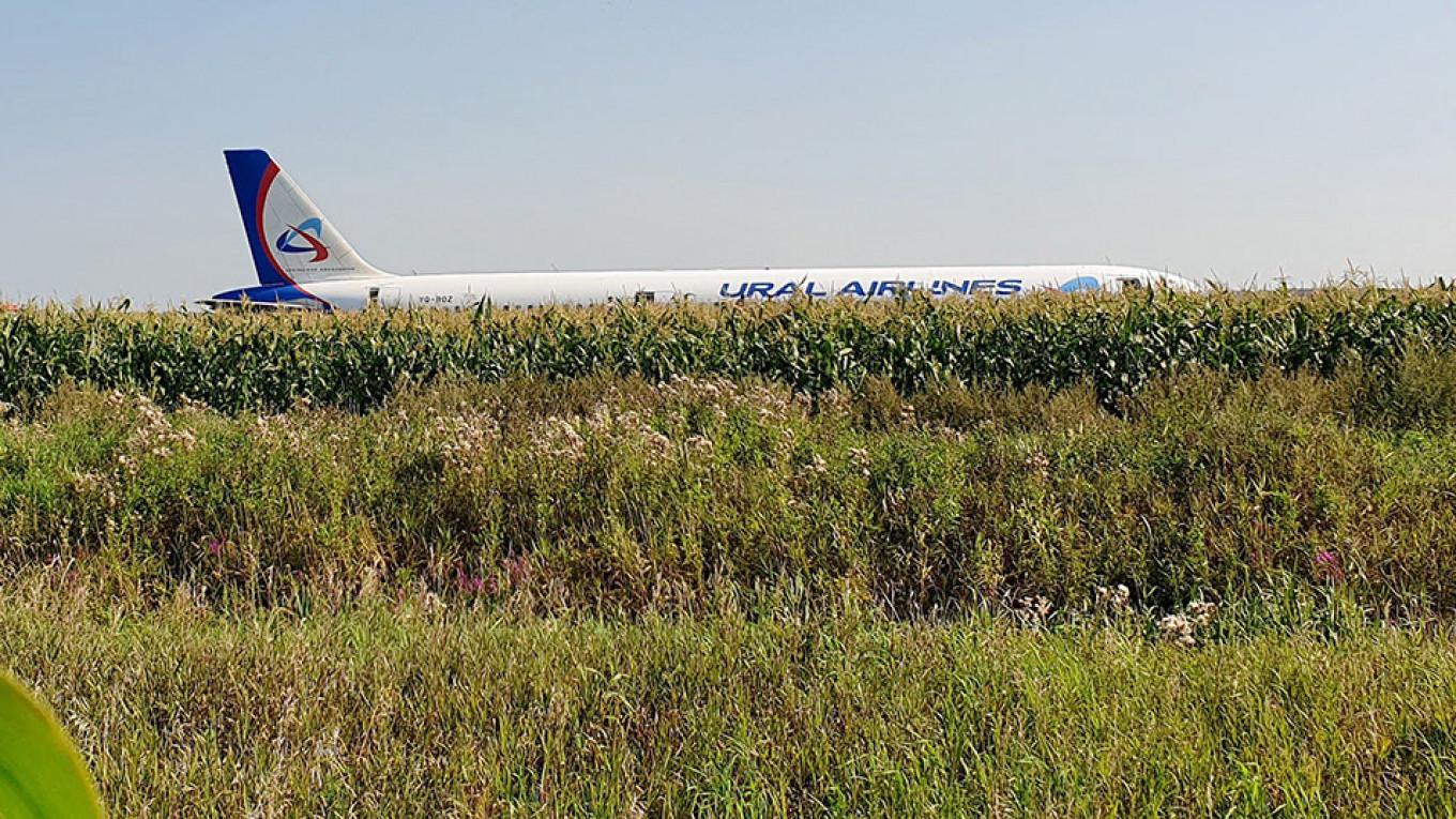 Avion sletio u polje kukuruza - Avaz