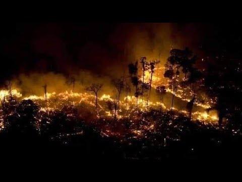 Šuma nestaje u plamenu - Avaz