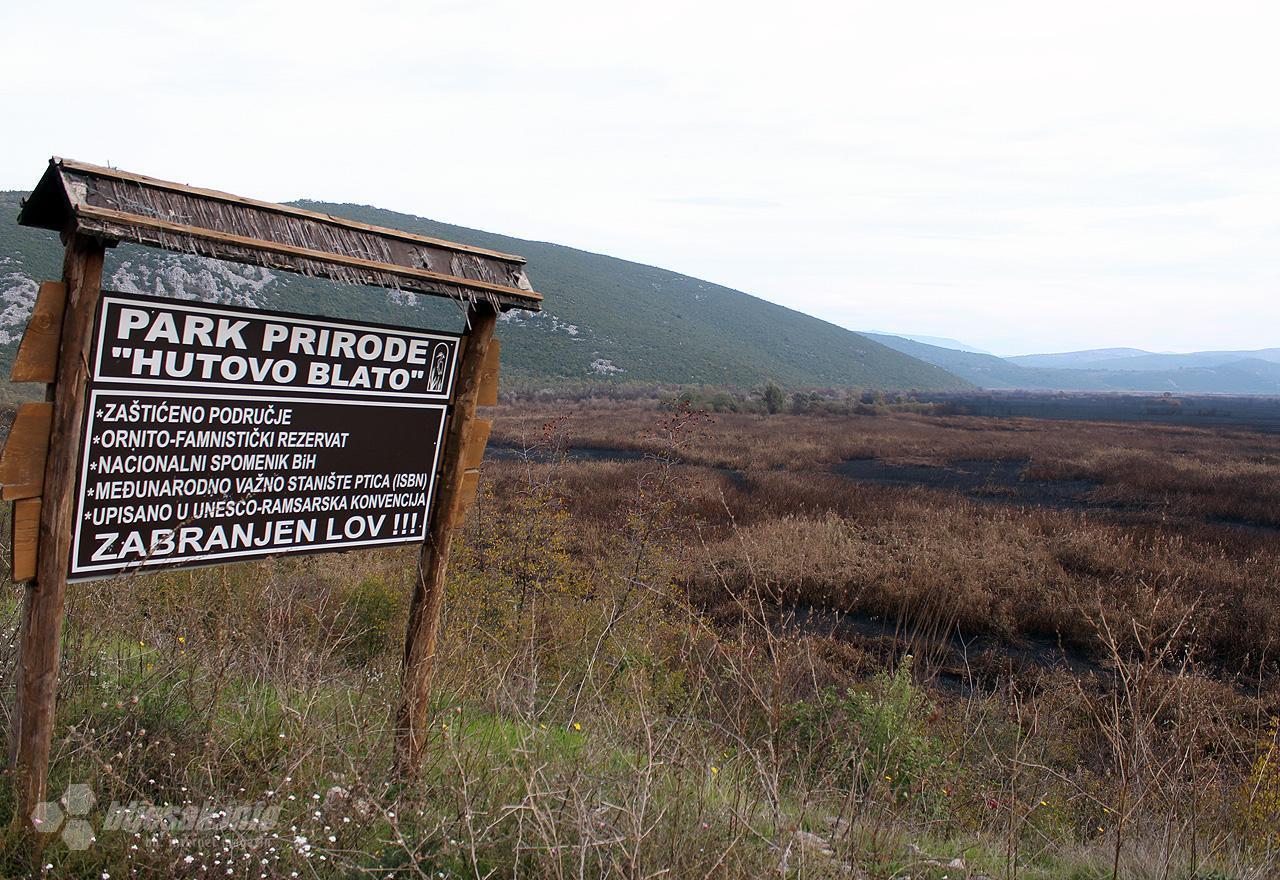 Hutovo blato dvije godine nakon požara: Obnovljena vegetacija