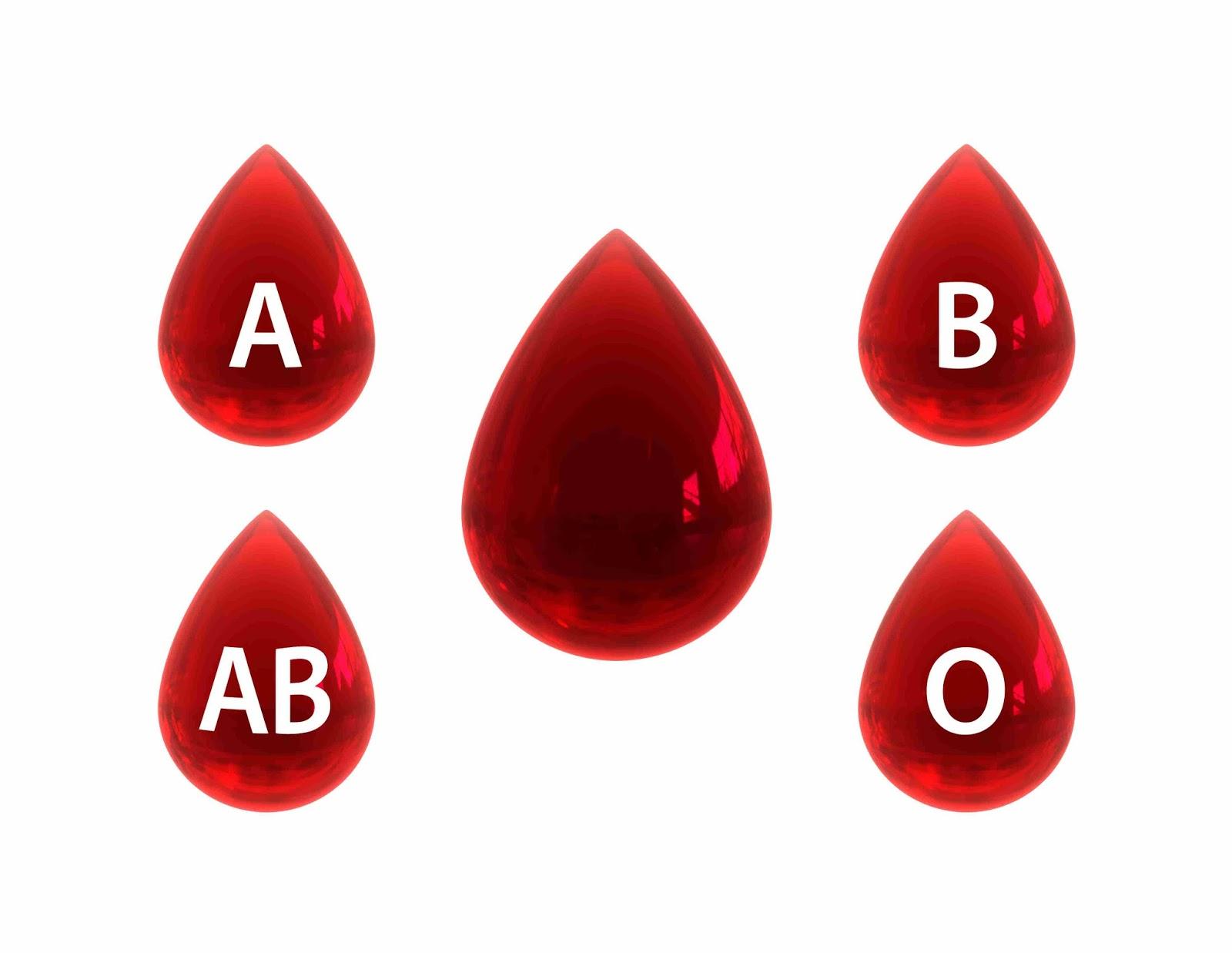 Postoje četiri osnovne vrste krvnih grupa - A, B, AB i 0 - Avaz