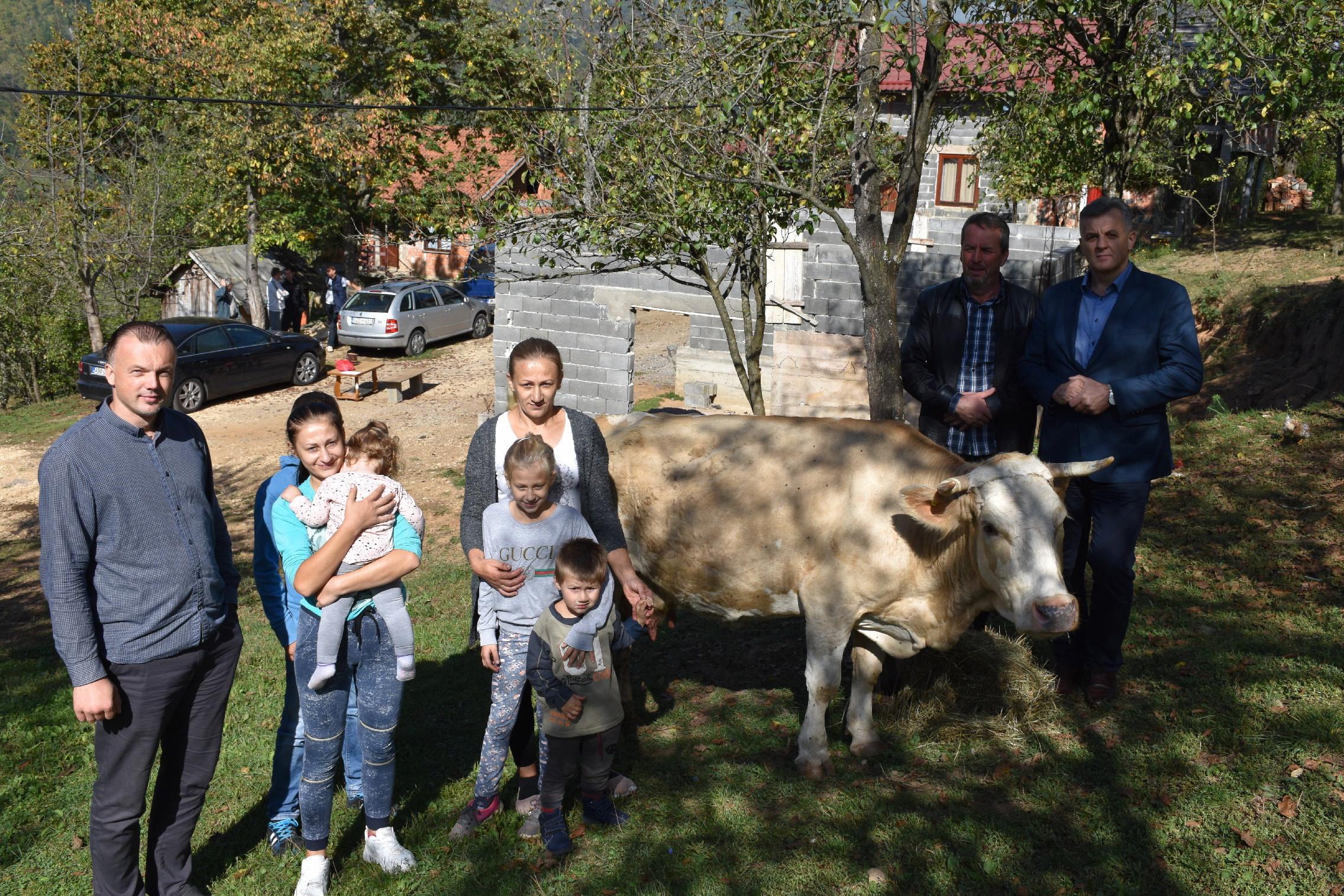 Bistrivode iz Kaoštica dobile kravu