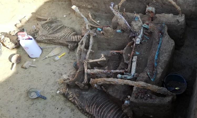 Kod Vinkovaca pronađen izuzetan arheološki nalaz rimskih kola s upregnutim konjima