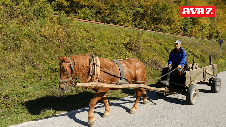 Lazo Lubović: Ne bih dao konja za tri traktora