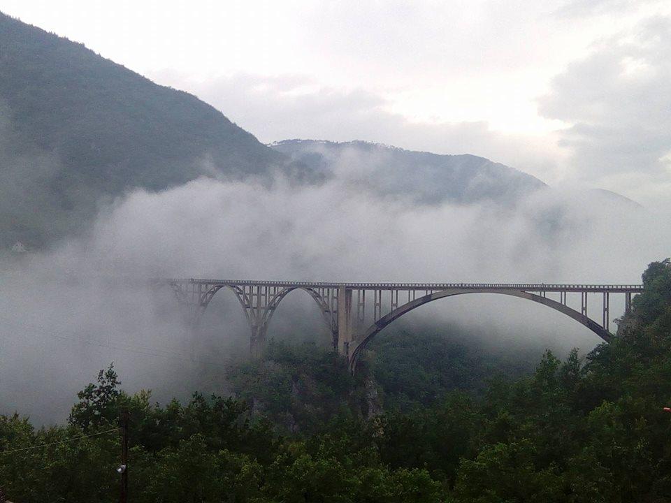 Most na Tari - Avaz