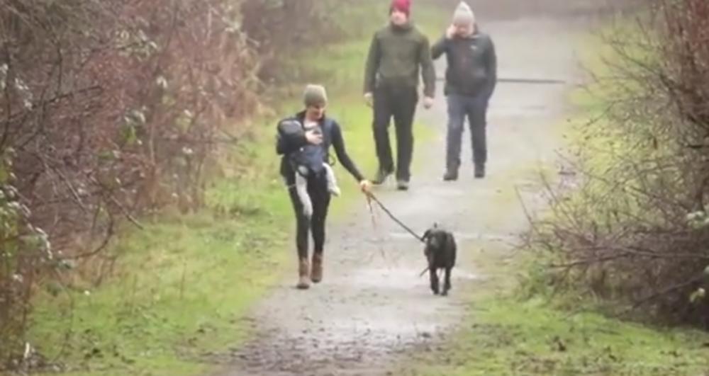 Dok je Britanija u šoku, Megan Markl u šetnji sa sinom i psima