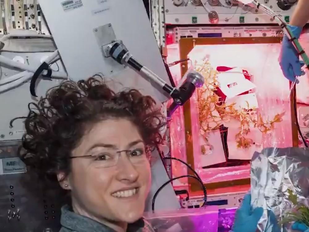 Kristina Koh: Žena koja je izvela najduži pojedinačni svemirski let - Avaz