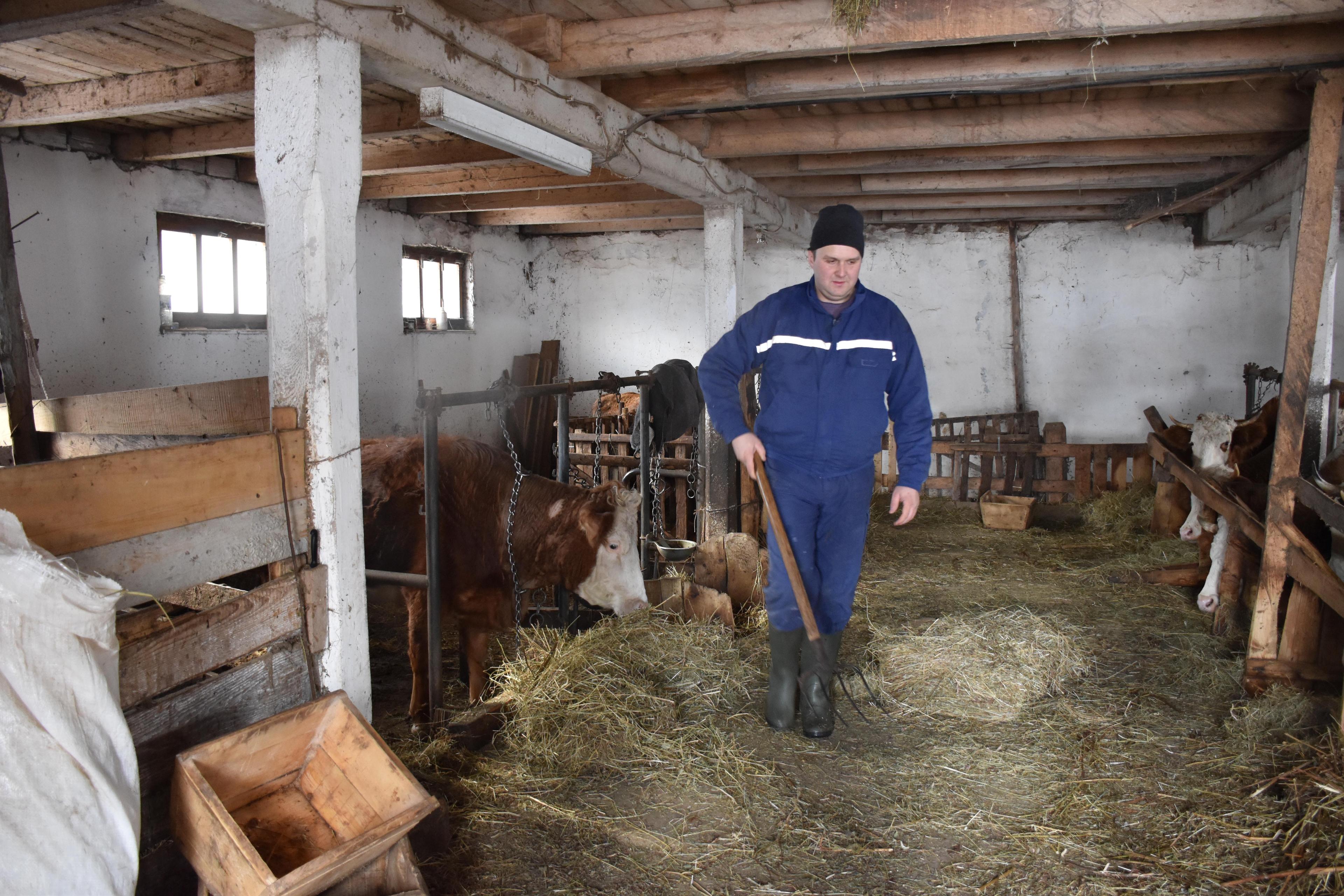 Munib Jusupović začepio usta pesimistima: Vrijedni farmer iz Podžeplja mjesečno zaradi 3.000 maraka