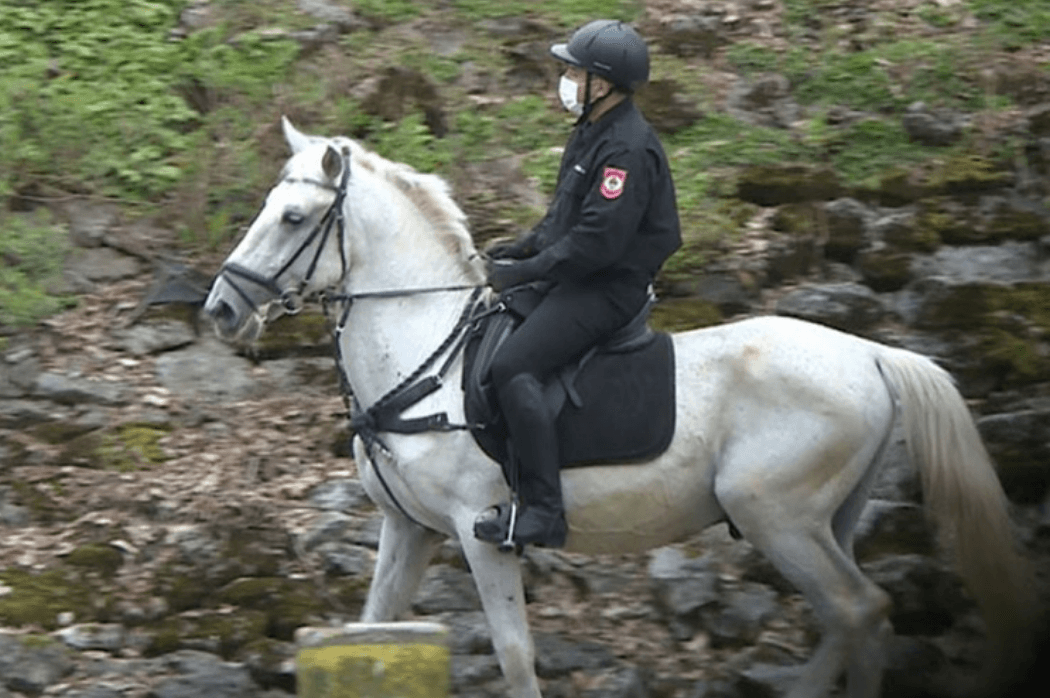 Policajci na konjima upozoravaju građane da se raziđu