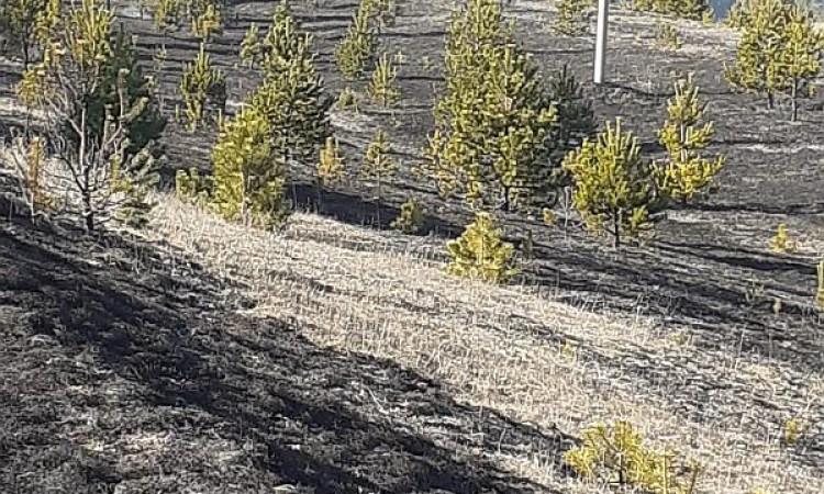 U Republici Srpskoj 23 požara za jedan dan, kazne do 1.000 KM za nejavljanje vatrogascima