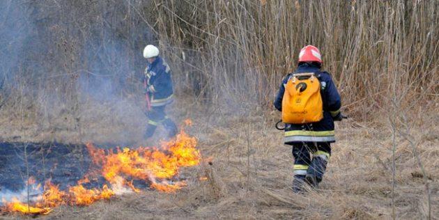 Vatrogasci gase požar - Avaz