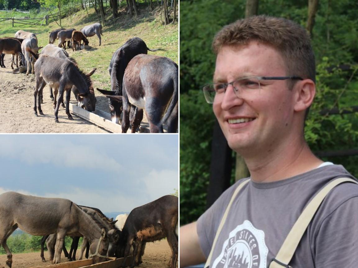 Ovih dana je živo na Farmi magaraca u Zavidovićima: Najtraženije mlijeko i bejbi kreme