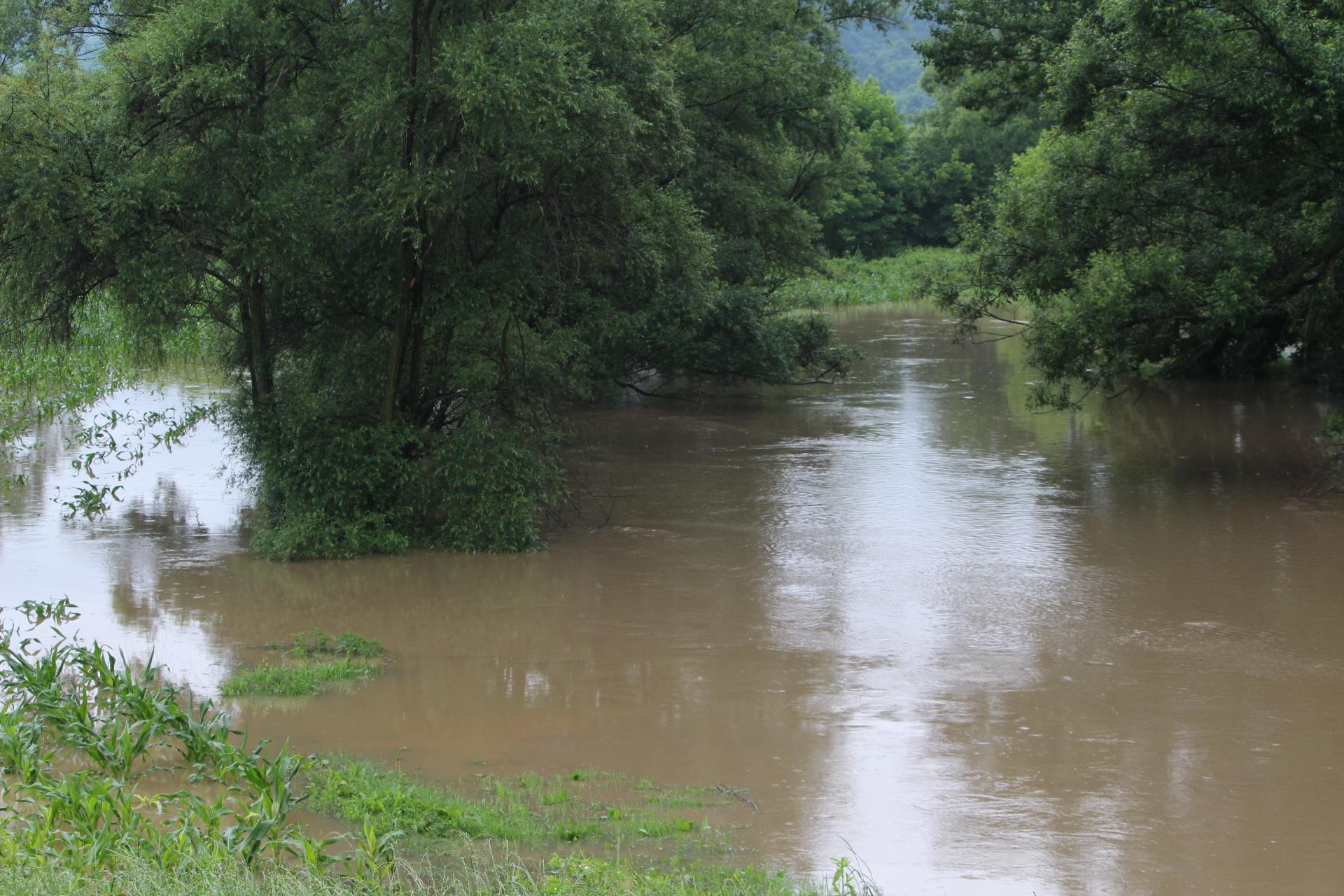 Rijeka Tinja se izlila iz korita, obustavljen saobraćaj, a u Sapni pokrenuto klizište