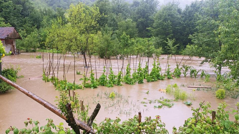 Poplavljena poljoprivredna zemljišta - Avaz