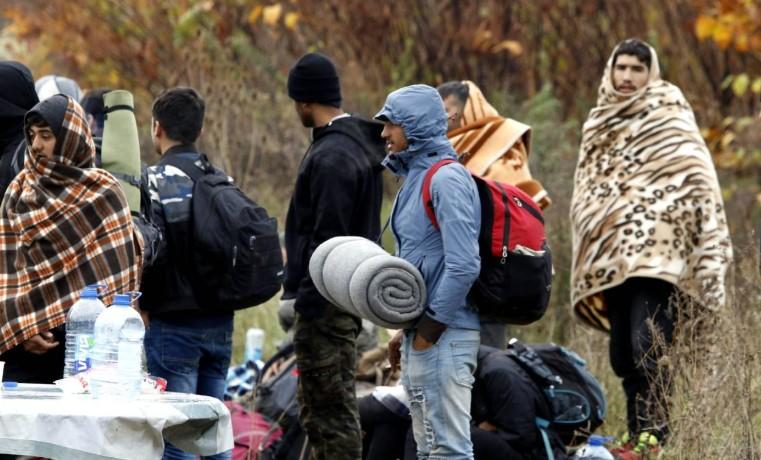 Migranti prave brojne probleme - Avaz