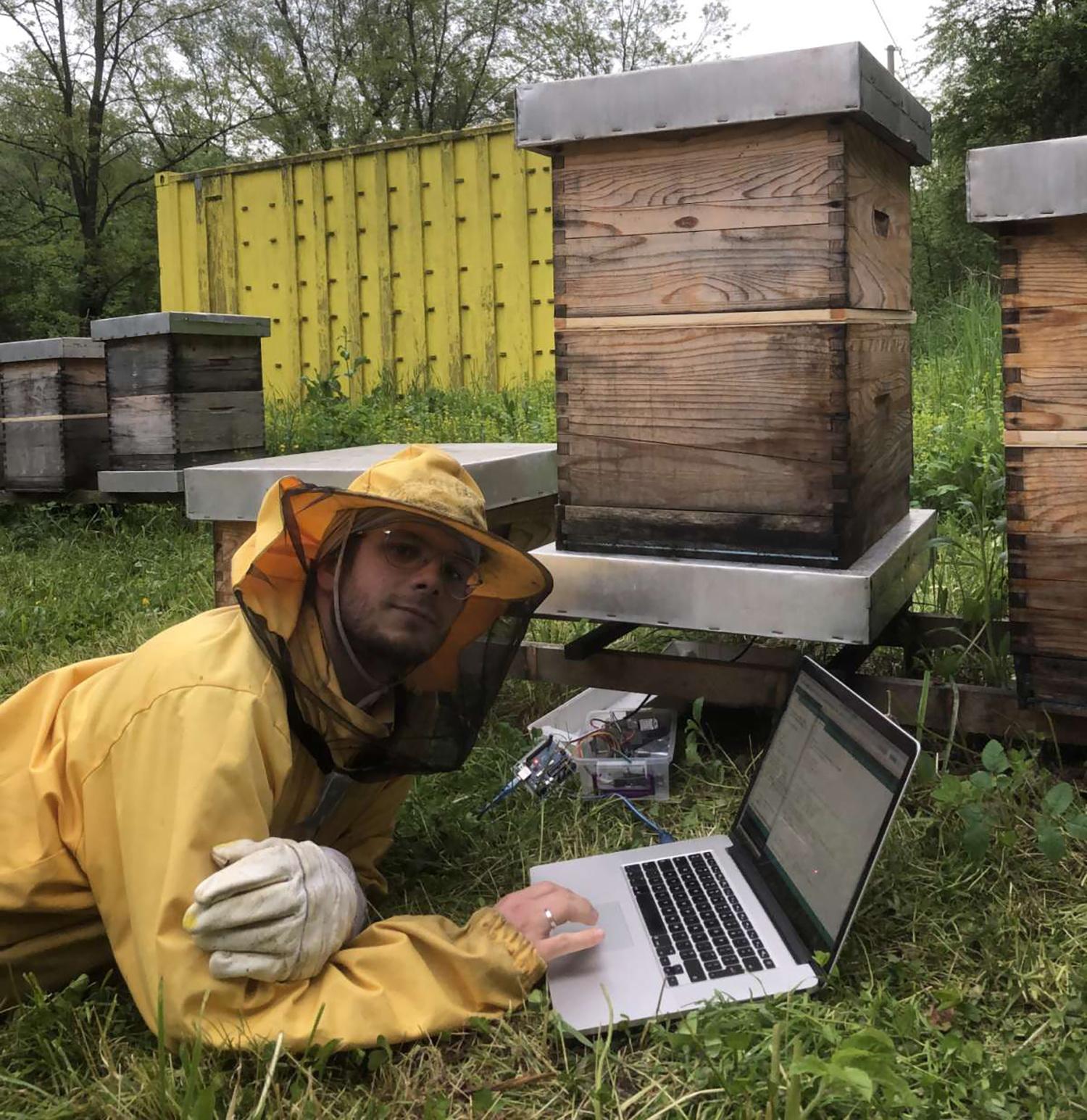 Programer koji voli pčelarstvo