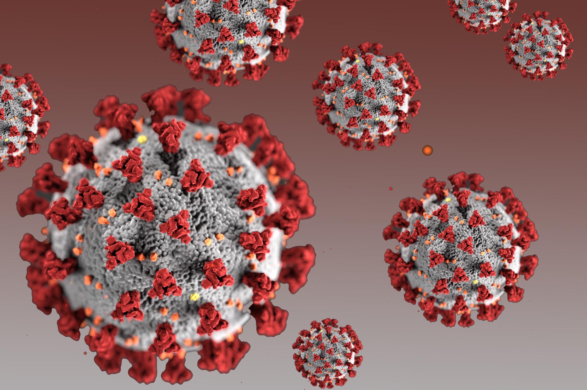 Stečeni imunitet na koronavirus traje duže nego što se mislilo