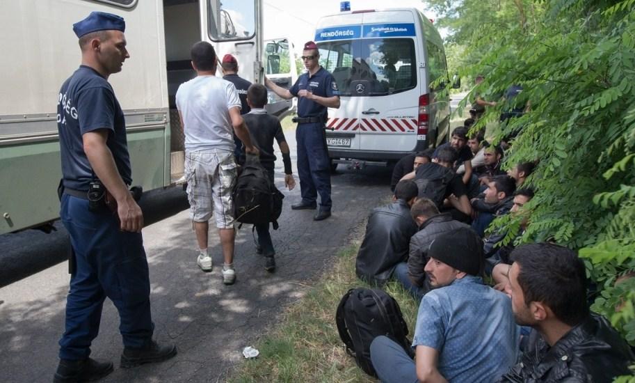 Lokalna policija je saopćila da je uhapsila vozača - Avaz
