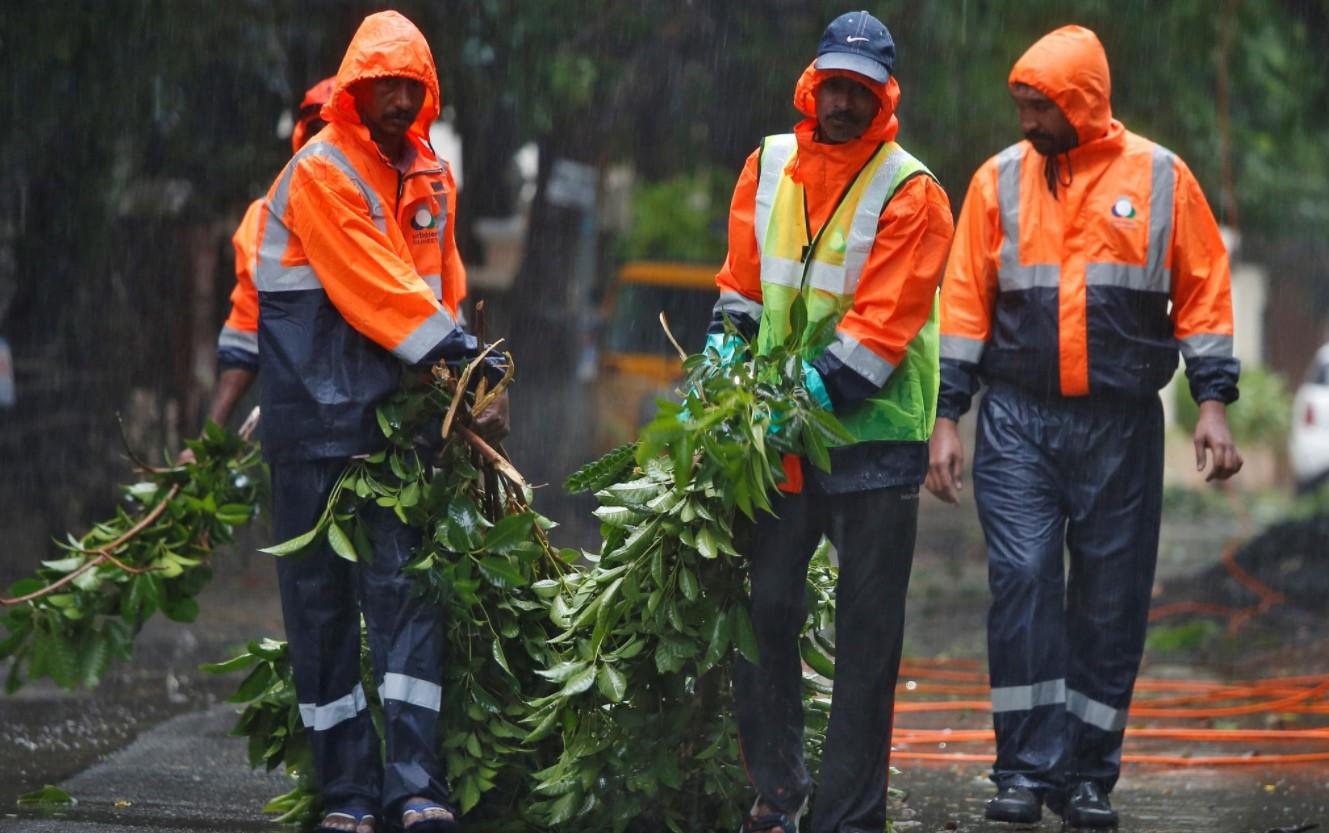 Municipal workers remove fallen tree branches from a road during rains before Cyclone Nivar's landfall - Avaz