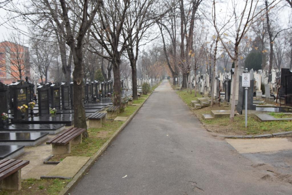 Pjevačev grob je na groblju u Novom Beogradu - Avaz