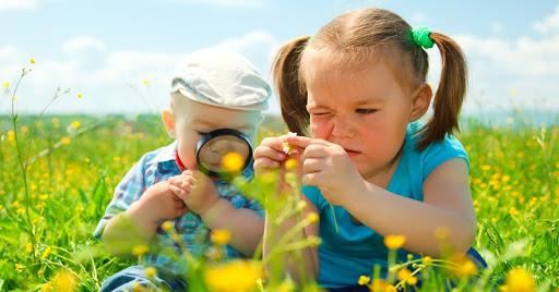 Djecu od malena učiti kako čuvati okoliš - Avaz