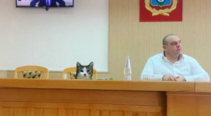 Glavna dužnost mačke je da se pojavi zajedno sa gradonačelnikom Nevinnomiska - Avaz