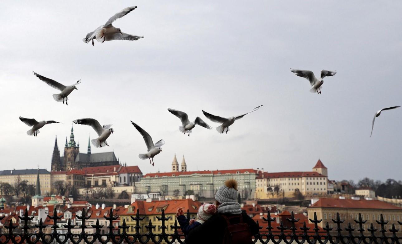 Seagulls fly over people looking at the Prague Castle amid coronavirus disease (COVID-19) restrictions in Prague, Czech Republic, December 28, 2020. - Avaz