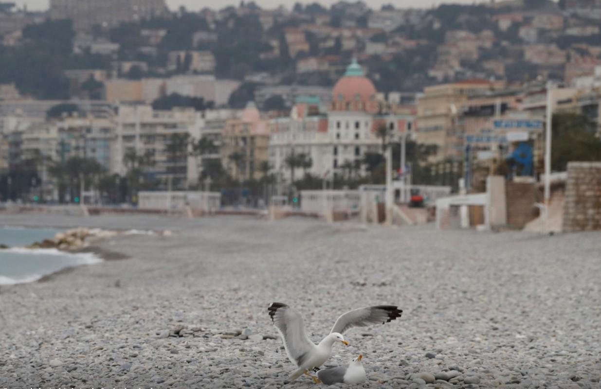 Seagulls are seen on an empty beach of the Promenade des Anglais during the first local weekend lockdown imposed to slow the rate of the coronavirus disease (COVID-19) contagion, in Nice, France, February 27, 2021. - Avaz