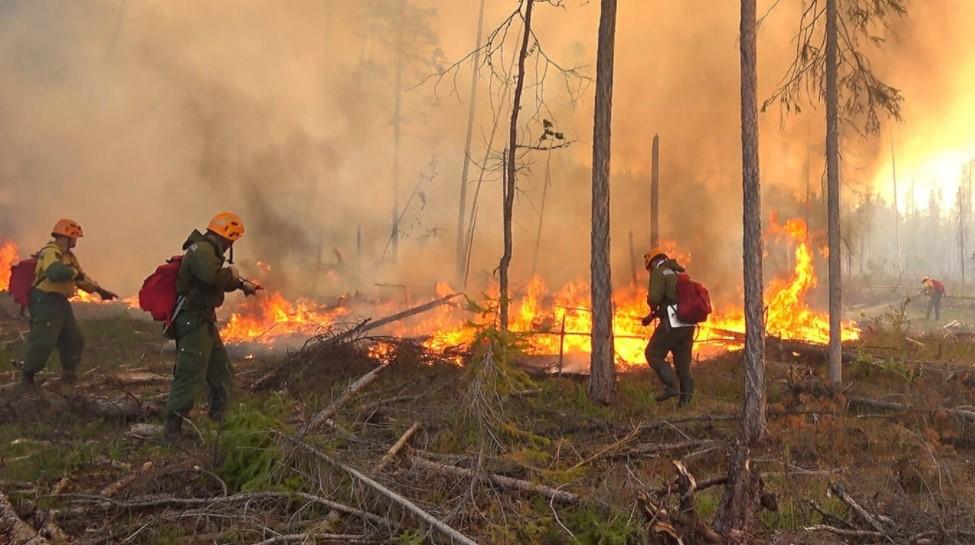 Russia forecasters warn over Siberia forest fires