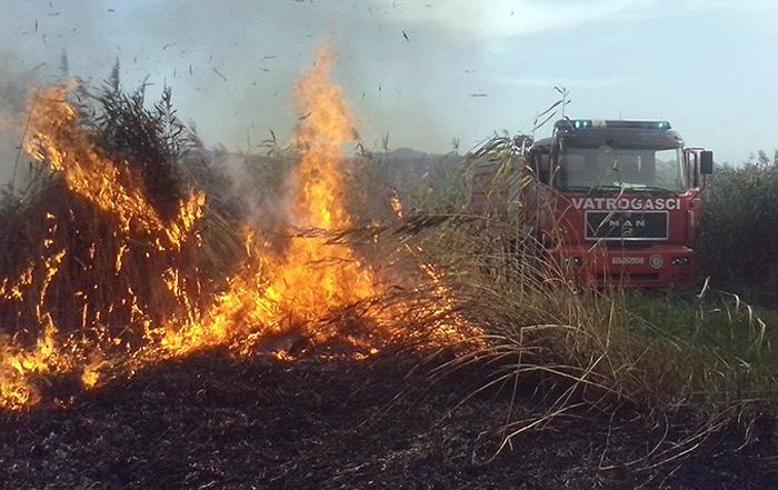 Velika šteta: Izgorjelo 10 hektara Parka prirode Hutovo blato