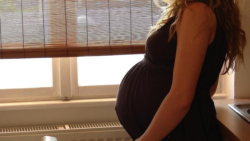 Brazil asks women to postpone pregnancy 'if possible'