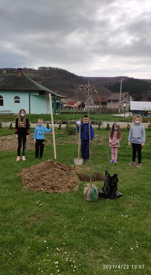 Učenici s uposlenicima OŠ "Kiseljak 2", Zabrđe zasadili drveće u školskom dvorištu