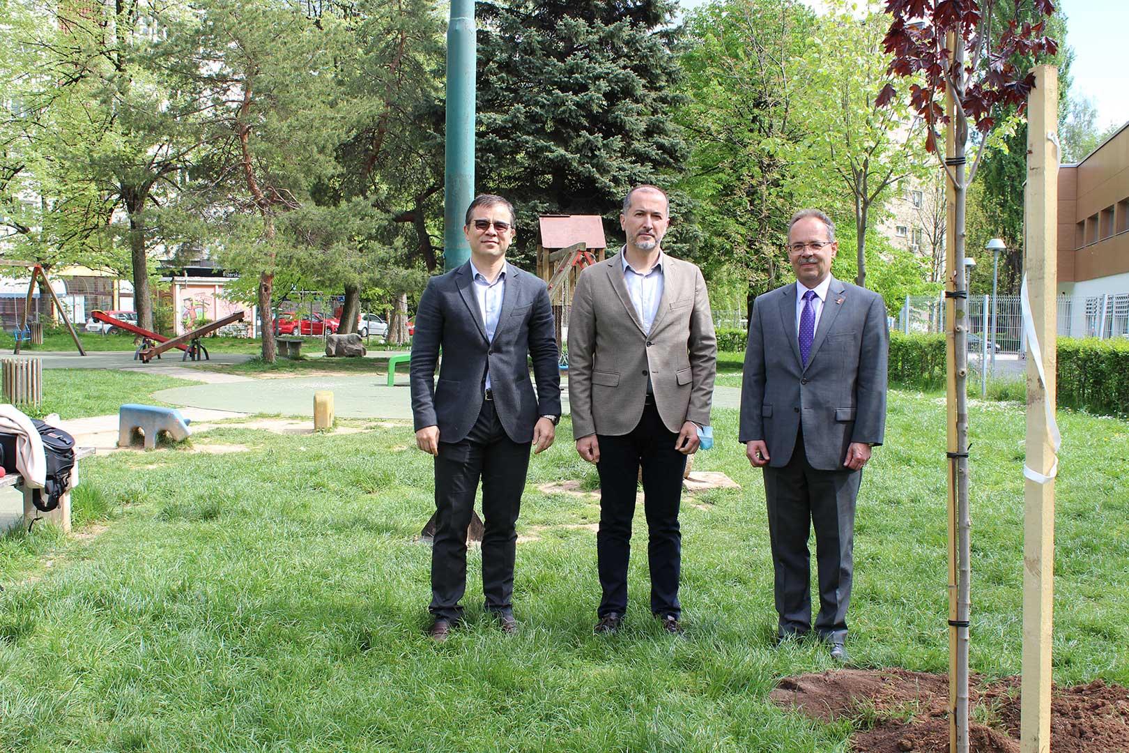Novo drveće za zelenije Novo Sarajevo