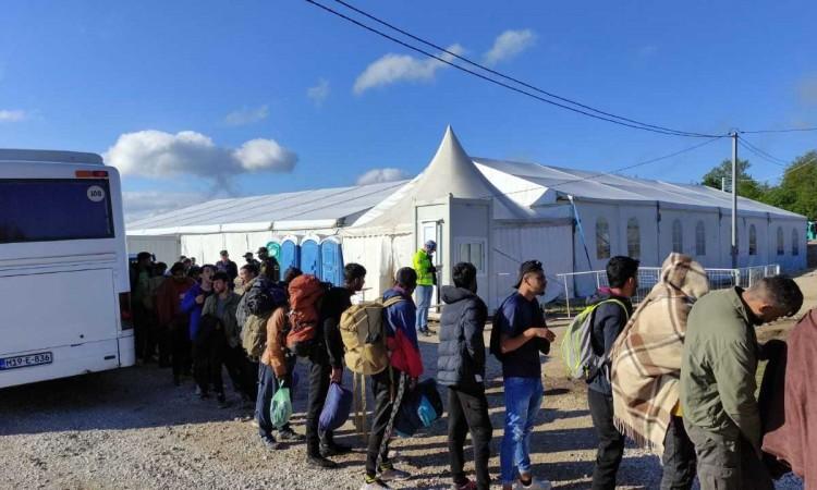 A group of 255 migrants relocated to Lipa camp