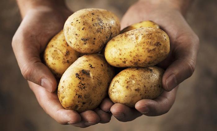 Nevesinjski krompir jedini zaštićeni proizvod
