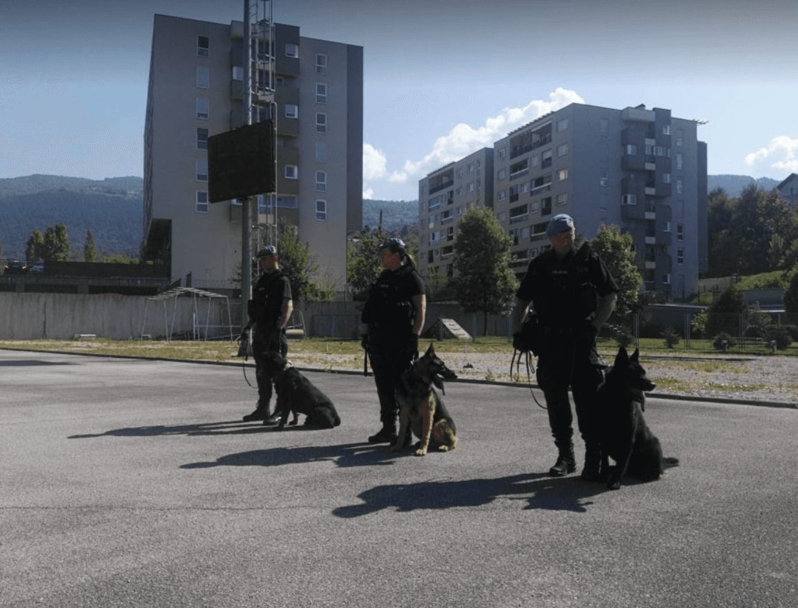Avazova patrola / Obučeni psi specijalne jedinice MUP-a KS su heroji iz sjene
