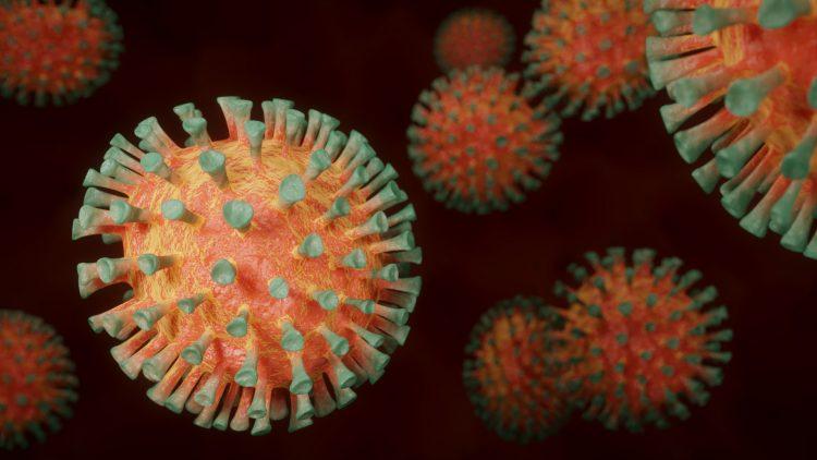 China reports 76 virus cases, highest daily rise since January