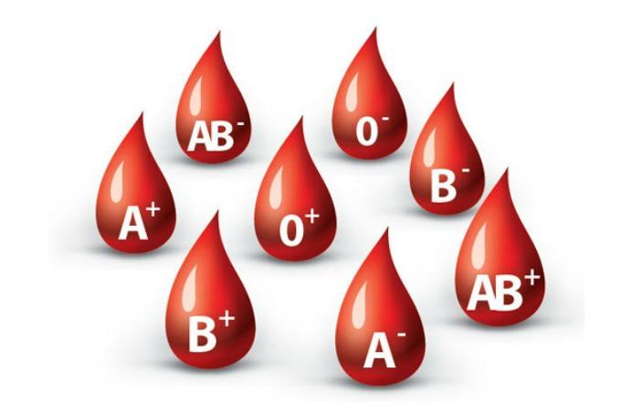 Postoje četiri osnovne vrste krvnih grupa - Avaz