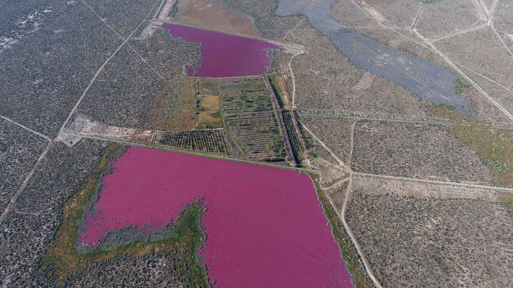 Jezera u Argentini misteriozno postala ružičasta