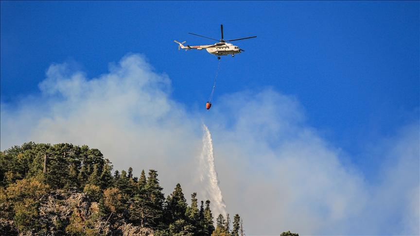 The wildfires took place in 33 of Turkey’s 81 provinces - Avaz