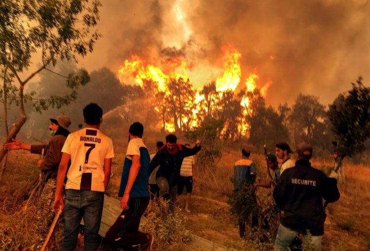 Zapaljen čovjek optužen za podmetanje šumskih požara u Alžiru