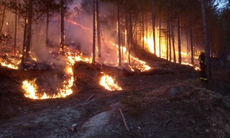 Požar zahvatio šumu iznad Konjica - Avaz
