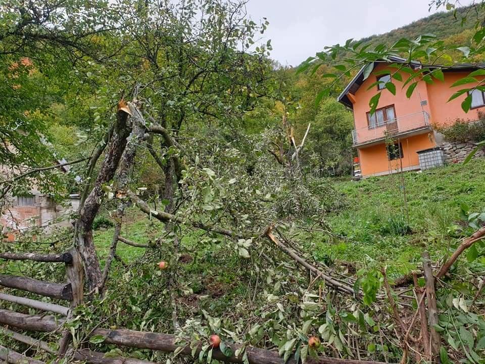 Pogledajte kakav haos je napravio medvjed na imanju kod Sarajeva