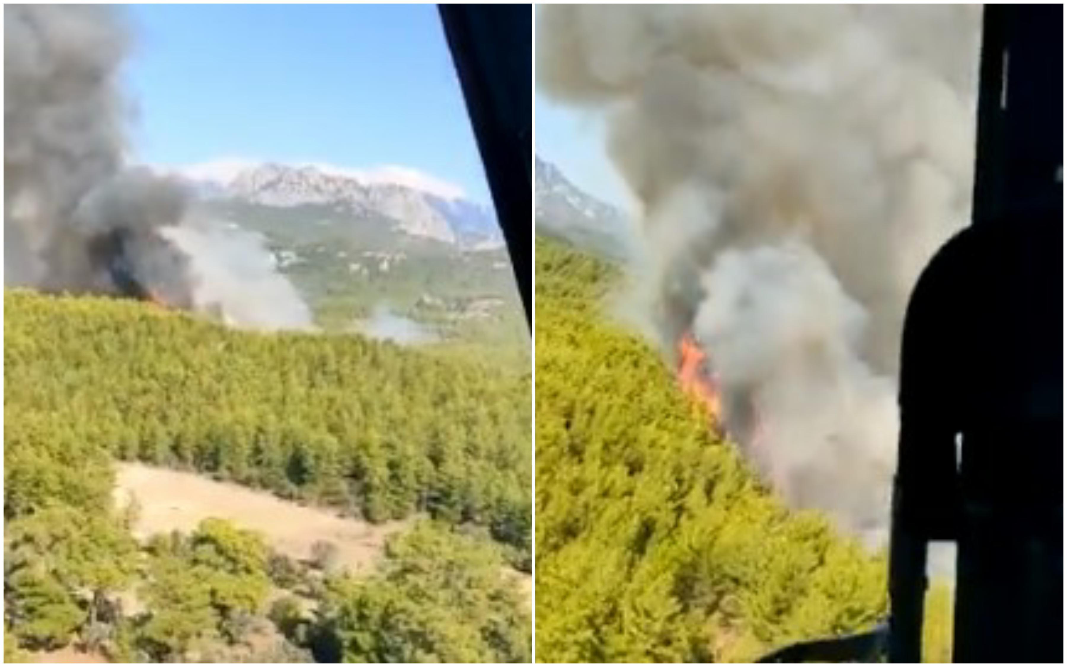 Novi požar u Antaliji - Avaz