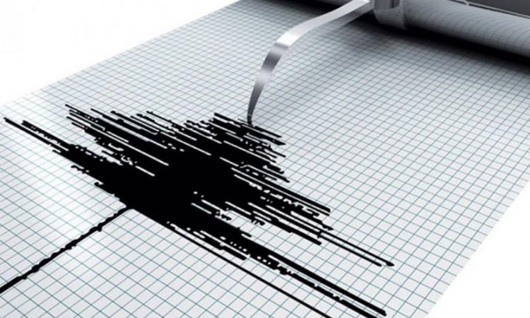 Saopćeno je da je zemljotres registrovan na dubini od deset kilometara - Avaz