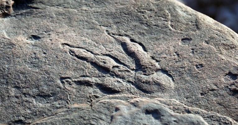 U Južnom Velsu otkriveni tragovi ranog dinosaura: "Ovo se ne vidi često"