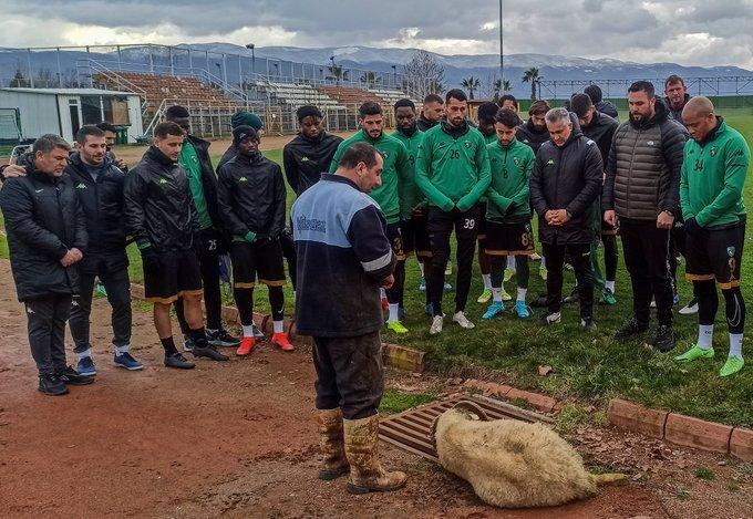 urski fudbalski klub Kočaelispor odnosno njegovi članovi odlučili su se na to da zakolju kurban - Avaz