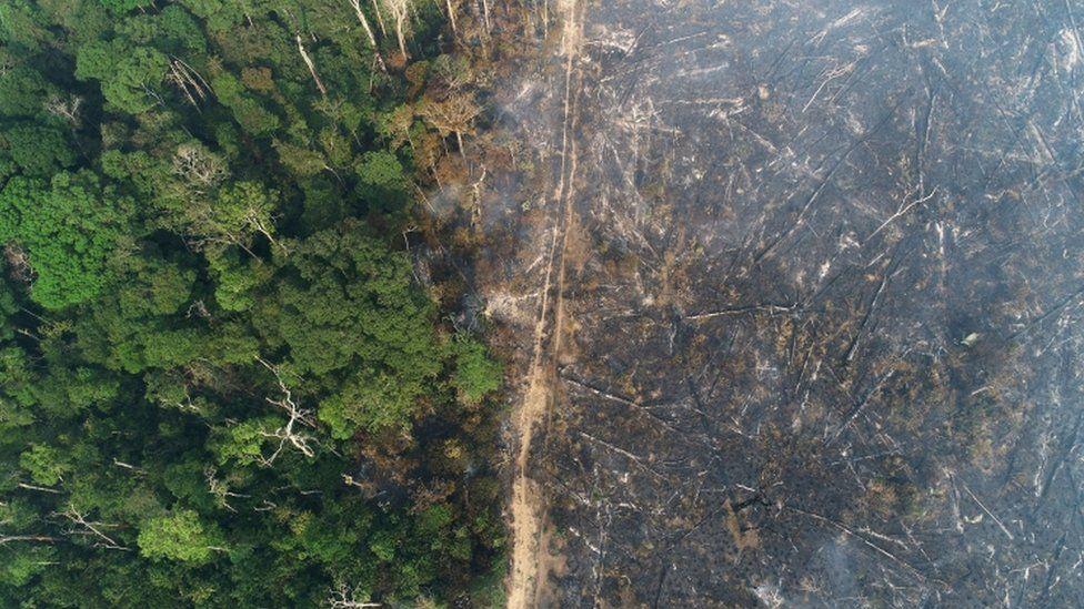 U Amazonu uništena površina sedam puta veća od Menhetna