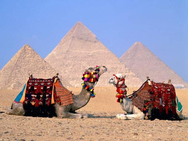Egipat - Avaz